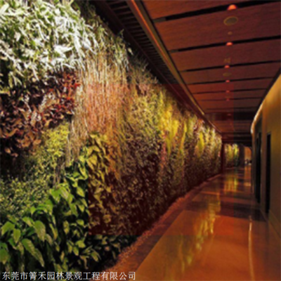 箐禾園林 打造會呼吸的真植物墻與綠植裝飾墻——廠家直銷解鎖鮮活居住美學