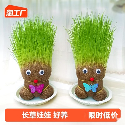 綠色浪潮 當網購愛上未來的窗臺